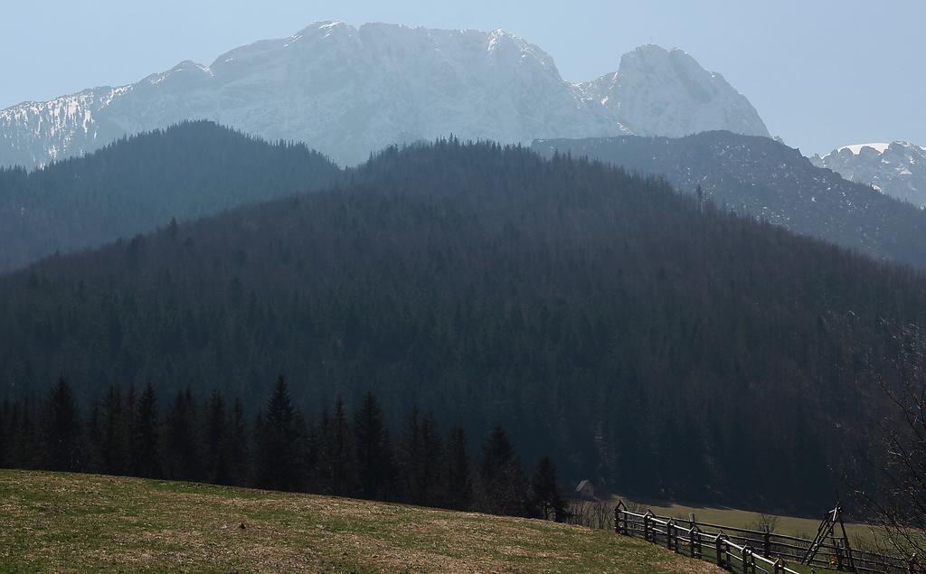 Willa Pod Halami Zakopane Exterior foto